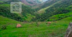 Fazenda à Venda 92 Alqueires com Potencial Pecuário | Rio das Flores/ RJ