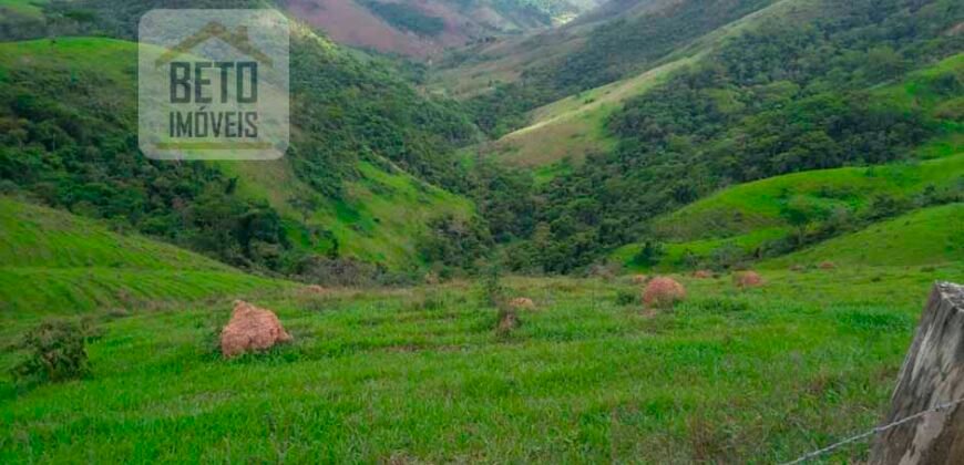 Fazenda à Venda 92 Alqueires com Potencial Pecuário | Rio das Flores/ RJ