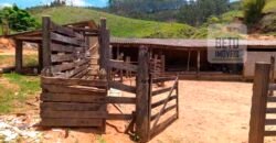 Fazenda à Venda 92 Alqueires com Potencial Pecuário | Rio das Flores/ RJ