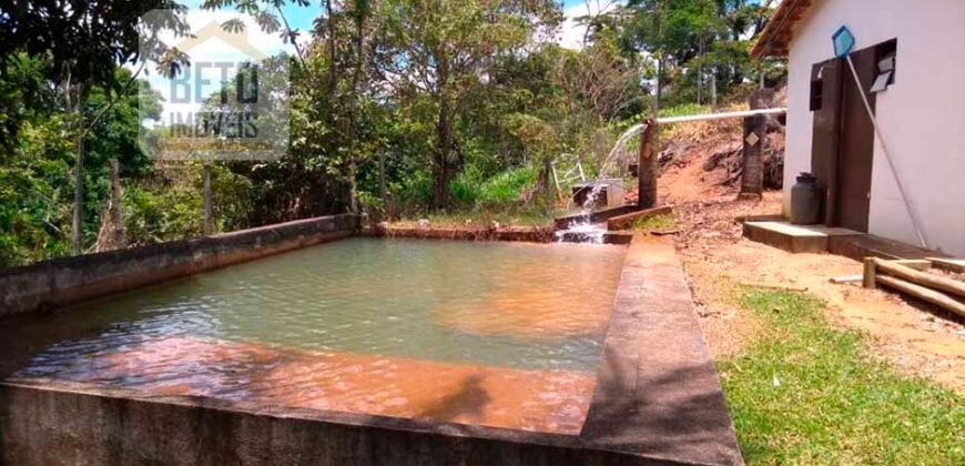 Fazenda à Venda 92 Alqueires com Potencial Pecuário | Rio das Flores/ RJ