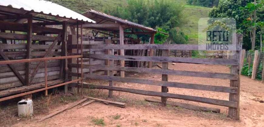 Fazenda à Venda 92 Alqueires com Potencial Pecuário | Rio das Flores/ RJ