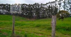 Fazenda à Venda 92 Alqueires com Potencial Pecuário | Rio das Flores/ RJ