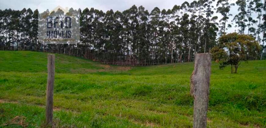 Fazenda à Venda 92 Alqueires com Potencial Pecuário | Rio das Flores/ RJ