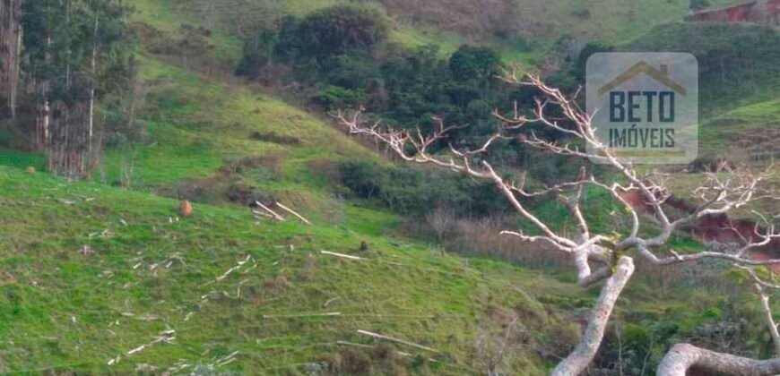 Fazenda à Venda 92 Alqueires com Potencial Pecuário | Rio das Flores/ RJ