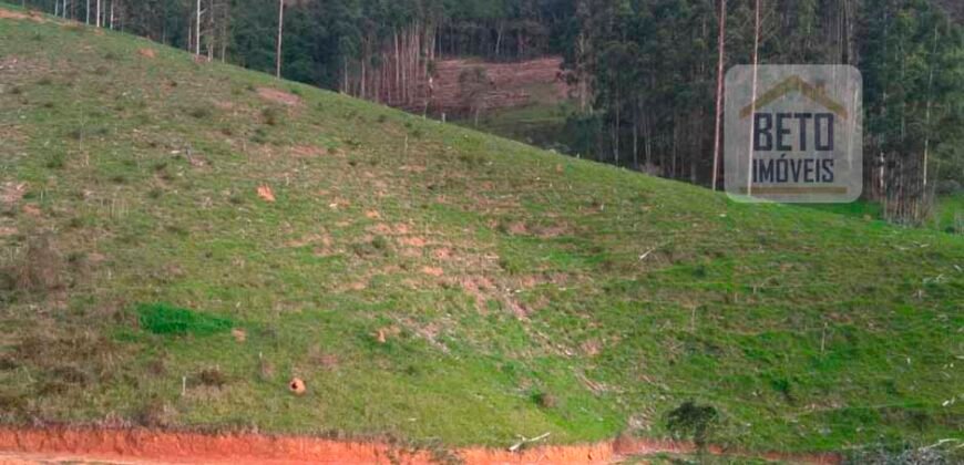 Fazenda à Venda 92 Alqueires com Potencial Pecuário | Rio das Flores/ RJ