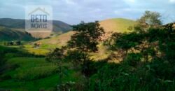 Fazenda à Venda 92 Alqueires com Potencial Pecuário | Rio das Flores/ RJ