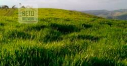 Fazenda à Venda 92 Alqueires com Potencial Pecuário | Rio das Flores/ RJ