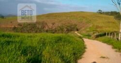 Fazenda à Venda 92 Alqueires com Potencial Pecuário | Rio das Flores/ RJ