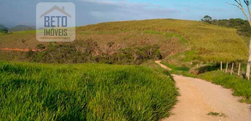 Fazenda à Venda 92 Alqueires com Potencial Pecuário | Rio das Flores/ RJ