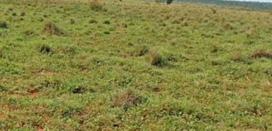 Fazenda à Venda 330 Alqueires com Pontecial Agrícula e Logística | Ribeirão Cascalheira/ MT Fazenda à Venda 330 Alqueires com Pontecial Agrícula e Logística | Ribeirão Cascalheira/ MT