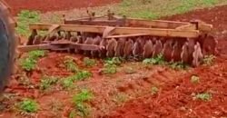Fazenda à Venda 330 Alqueires com Pontecial Agrícula e Logística | Ribeirão Cascalheira/ MT Fazenda à Venda 330 Alqueires com Pontecial Agrícula e Logística | Ribeirão Cascalheira/ MT