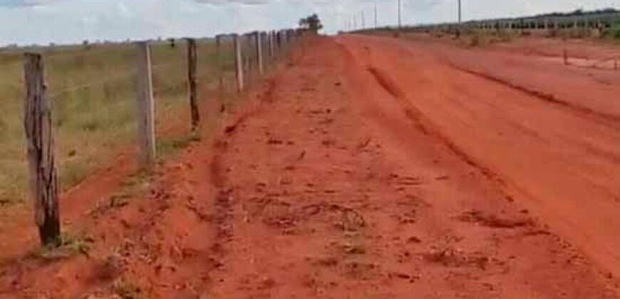 Fazenda à Venda 330 Alqueires com Pontecial Agrícula e Logística | Ribeirão Cascalheira/ MT Fazenda à Venda 330 Alqueires com Pontecial Agrícula e Logística | Ribeirão Cascalheira/ MT