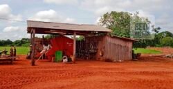 Fazenda à Venda 330 Alqueires com Pontecial Agrícula e Logística | Ribeirão Cascalheira/ MT Fazenda à Venda 330 Alqueires com Pontecial Agrícula e Logística | Ribeirão Cascalheira/ MT