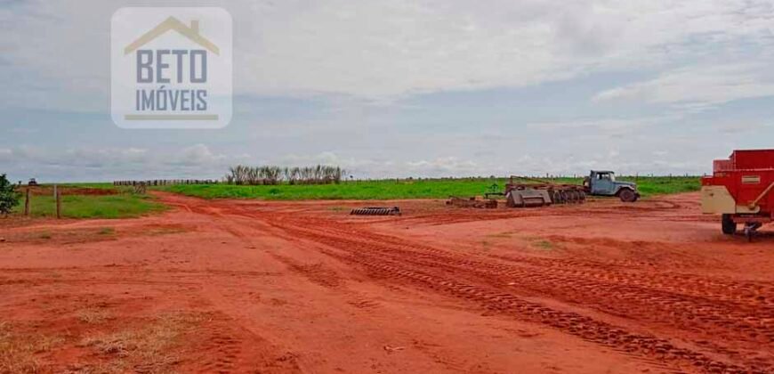 Fazenda à Venda 330 Alqueires com Pontecial Agrícula e Logística | Ribeirão Cascalheira/ MT Fazenda à Venda 330 Alqueires com Pontecial Agrícula e Logística | Ribeirão Cascalheira/ MT