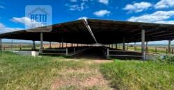 Ótima Fazenda 346 Alqueires sendo 220 alqueires em Lavoura de Cana | Agudos/ SP