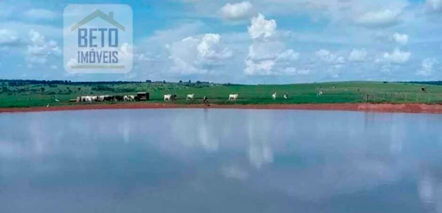 Ótima Fazenda 346 Alqueires sendo 220 alqueires em Lavoura de Cana | Agudos/ SP