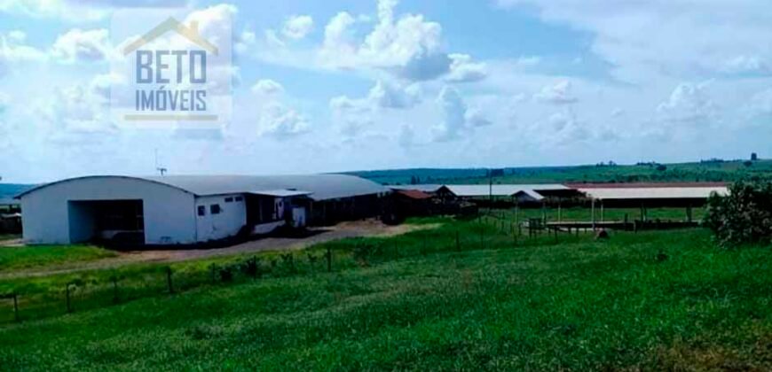 Ótima Fazenda 346 Alqueires sendo 220 alqueires em Lavoura de Cana | Agudos/ SP