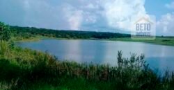 Ótima Fazenda 346 Alqueires sendo 220 alqueires em Lavoura de Cana | Agudos/ SP