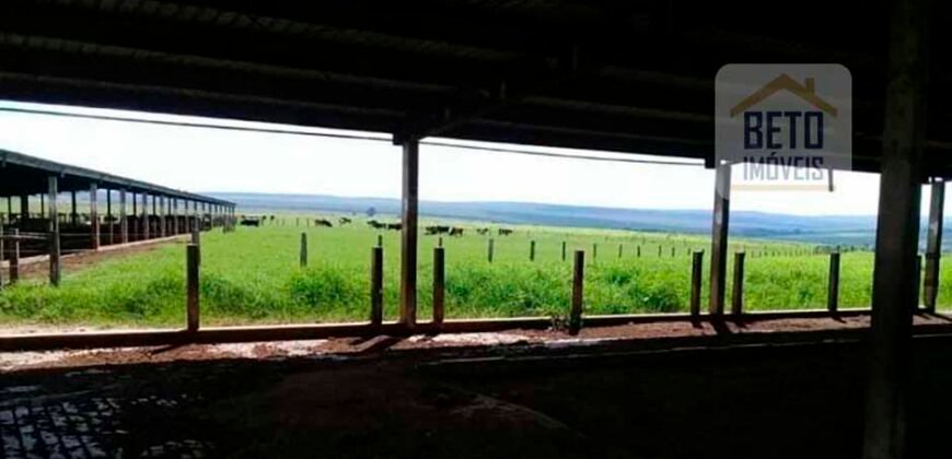 Ótima Fazenda 346 Alqueires sendo 220 alqueires em Lavoura de Cana | Agudos/ SP