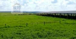 Ótima Fazenda 346 Alqueires sendo 220 alqueires em Lavoura de Cana | Agudos/ SP