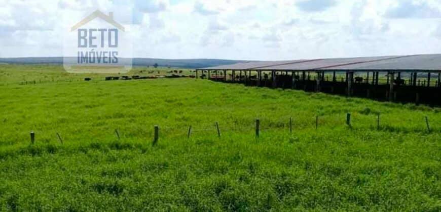 Ótima Fazenda 346 Alqueires sendo 220 alqueires em Lavoura de Cana | Agudos/ SP