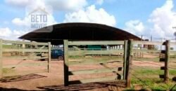 Ótima Fazenda 346 Alqueires sendo 220 alqueires em Lavoura de Cana | Agudos/ SP