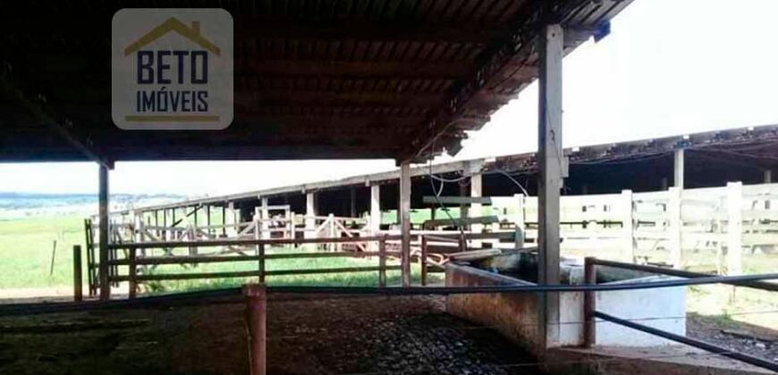 Ótima Fazenda 346 Alqueires sendo 220 alqueires em Lavoura de Cana | Agudos/ SP