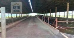 Ótima Fazenda 346 Alqueires sendo 220 alqueires em Lavoura de Cana | Agudos/ SP