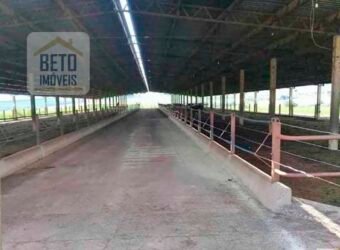 Ótima Fazenda 346 Alqueires sendo 220 alqueires em Lavoura de Cana | Agudos/ SP