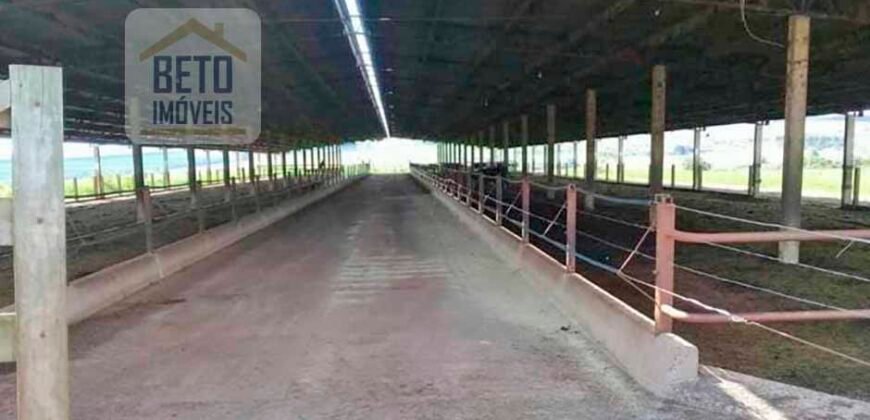 Ótima Fazenda 346 Alqueires sendo 220 alqueires em Lavoura de Cana | Agudos/ SP