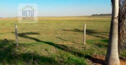 Fazenda de Alto Padrão 450 Alqueires c/ Haras, Pecuária e Lavoura de Grãos  | Região de Presidente Prudente/ SP