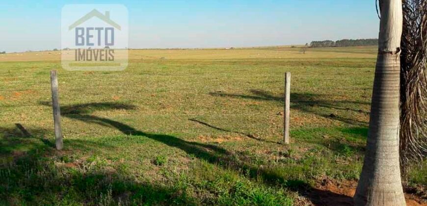 Fazenda de Alto Padrão 450 Alqueires c/ Haras, Pecuária e Lavoura de Grãos  | Região de Presidente Prudente/ SP