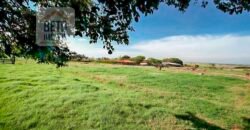 Fazenda de Alto Padrão 450 Alqueires c/ Haras, Pecuária e Lavoura de Grãos  | Região de Presidente Prudente/ SP