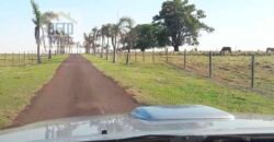 Fazenda de Alto Padrão 450 Alqueires c/ Haras, Pecuária e Lavoura de Grãos  | Região de Presidente Prudente/ SP