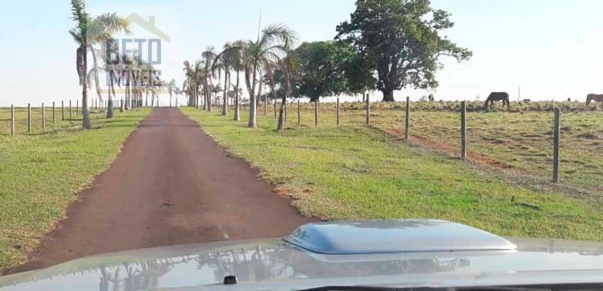Fazenda de Alto Padrão 450 Alqueires c/ Haras, Pecuária e Lavoura de Grãos  | Região de Presidente Prudente/ SP