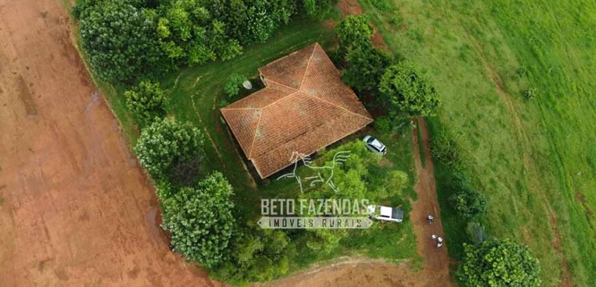 Oportunidade Única. Fazenda Café, Cereais e Pecuária 1.060 hectares Infraestrutura Completa | Região de Araxá/ MG
