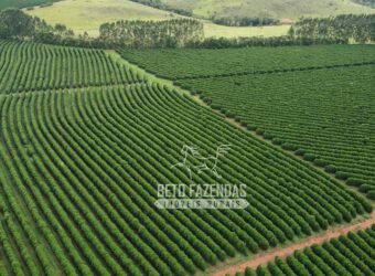Oportunidade Única. Fazenda Café, Cereais e Pecuária 1.060 hectares Infraestrutura Completa | Região de Araxá/ MG