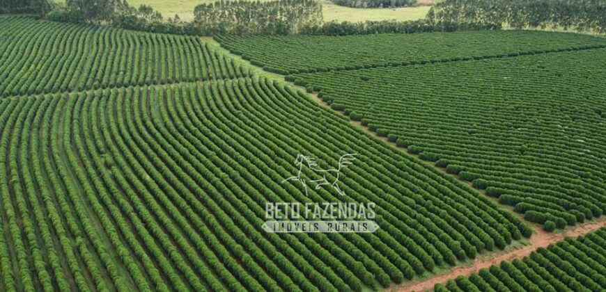 Oportunidade Única. Fazenda Café, Cereais e Pecuária 1.060 hectares Infraestrutura Completa | Região de Araxá/ MG