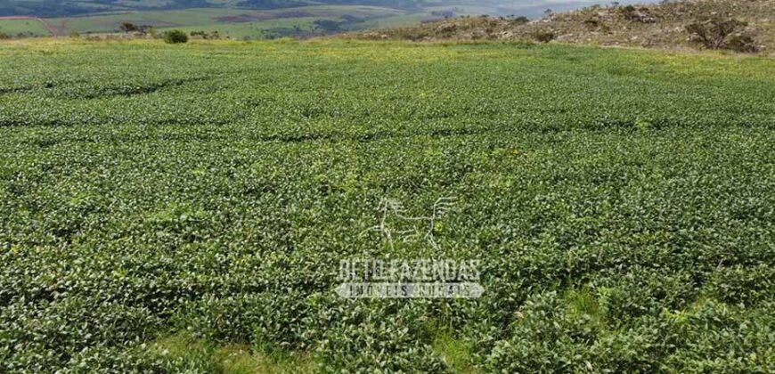Oportunidade Única. Fazenda Café, Cereais e Pecuária 1.060 hectares Infraestrutura Completa | Região de Araxá/ MG