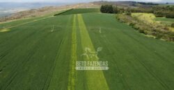 Oportunidade Única. Fazenda Café, Cereais e Pecuária 1.060 hectares Infraestrutura Completa | Região de Araxá/ MG