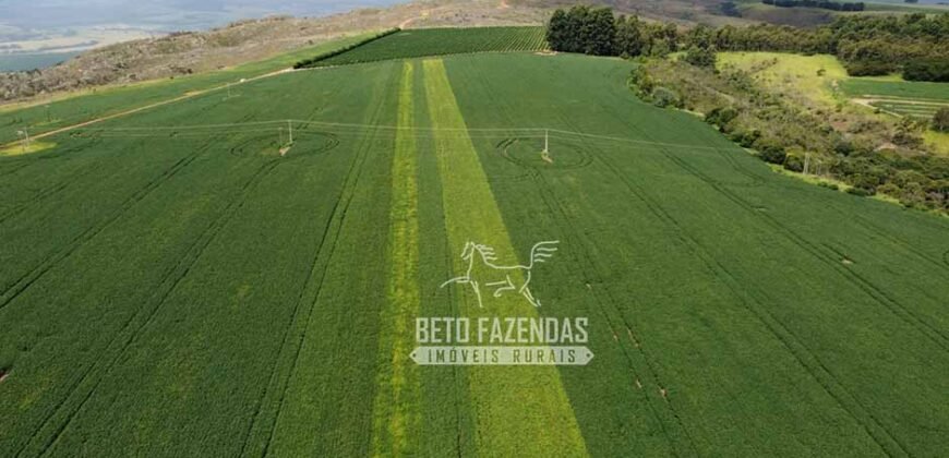 Oportunidade Única. Fazenda Café, Cereais e Pecuária 1.060 hectares Infraestrutura Completa | Região de Araxá/ MG