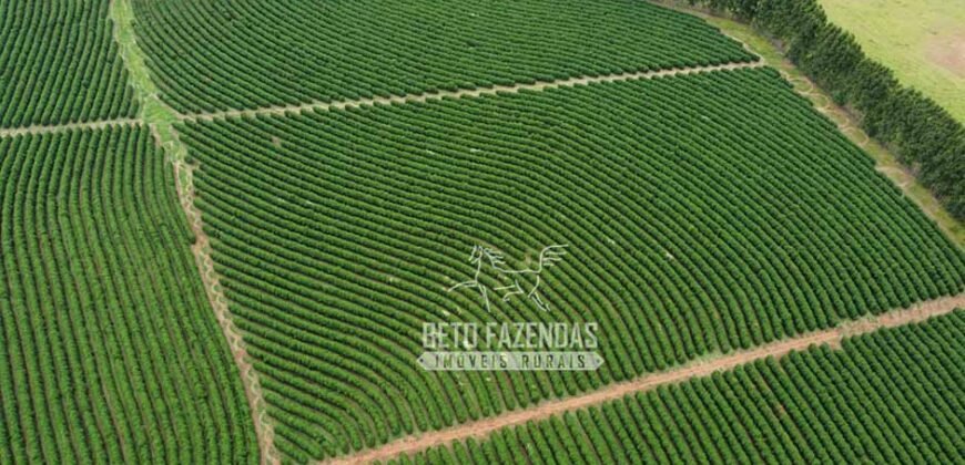 Oportunidade Única. Fazenda Café, Cereais e Pecuária 1.060 hectares Infraestrutura Completa | Região de Araxá/ MG
