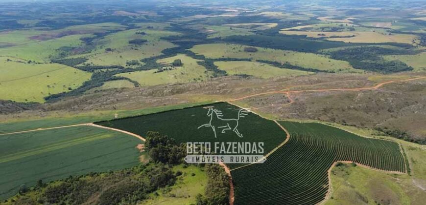 Oportunidade Única. Fazenda Café, Cereais e Pecuária 1.060 hectares Infraestrutura Completa | Região de Araxá/ MG