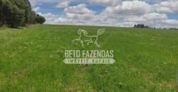 Oportunidade Única. Fazenda Café, Cereais e Pecuária 1.060 hectares Infraestrutura Completa | Região de Araxá/ MG