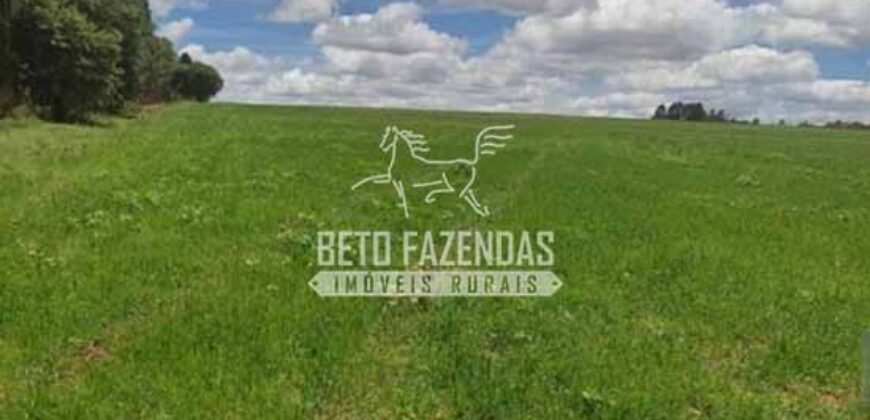 Oportunidade Única. Fazenda Café, Cereais e Pecuária 1.060 hectares Infraestrutura Completa | Região de Araxá/ MG
