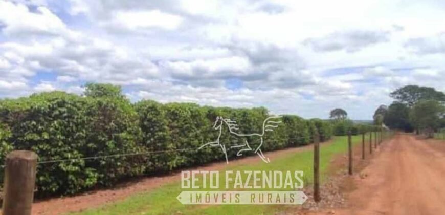 Oportunidade Única. Fazenda Café, Cereais e Pecuária 1.060 hectares Infraestrutura Completa | Região de Araxá/ MG