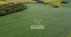Oportunidade Única. Fazenda Café, Cereais e Pecuária 1.060 hectares Infraestrutura Completa | Região de Araxá/ MG