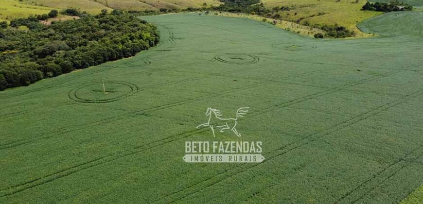 Oportunidade Única. Fazenda Café, Cereais e Pecuária 1.060 hectares Infraestrutura Completa | Região de Araxá/ MG