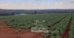 Oportunidade Única. Fazenda Café, Cereais e Pecuária 1.060 hectares Infraestrutura Completa | Região de Araxá/ MG