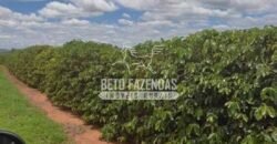 Oportunidade Única. Fazenda Café, Cereais e Pecuária 1.060 hectares Infraestrutura Completa | Região de Araxá/ MG